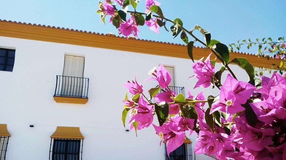Hotel Andalou Монтельяно Экстерьер фото
