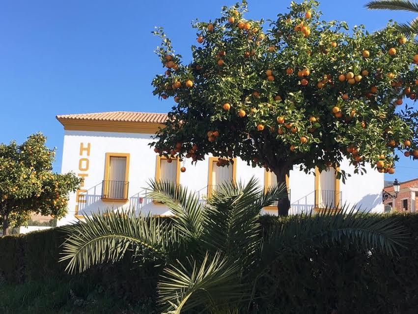 Hotel Andalou Монтельяно Экстерьер фото